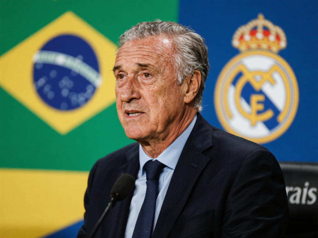 能提供高效 能提供高效