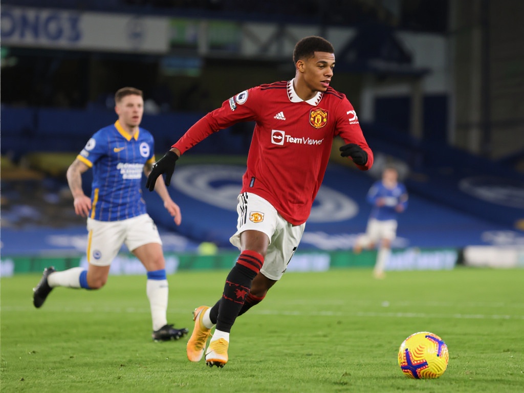 看的参与感 看的参与感